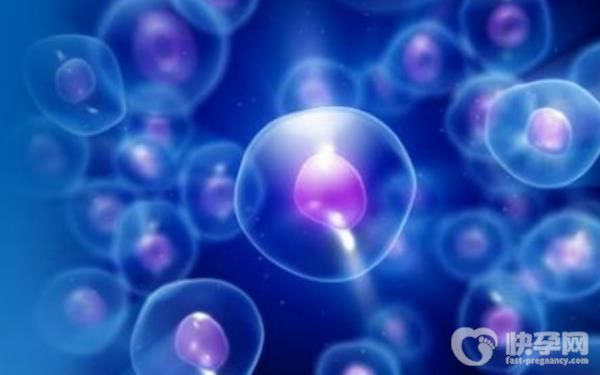 2023年开始实施免费做试管的政策，符合条件的可以了解清楚