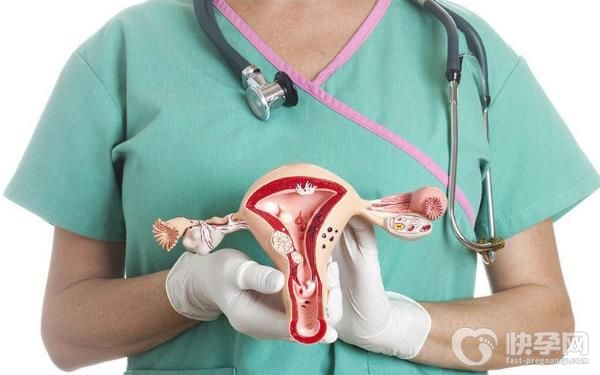 50岁女人不排卵做试管婴儿的相关知识点汇总！