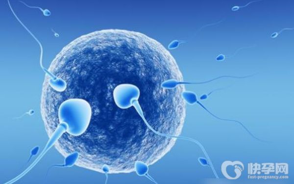 2023郑大一附院赠卵试管流程大揭秘！全程5步