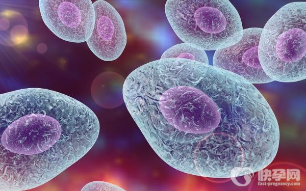 44岁做三代试管婴儿成功率有多高？配成3个能否成功？