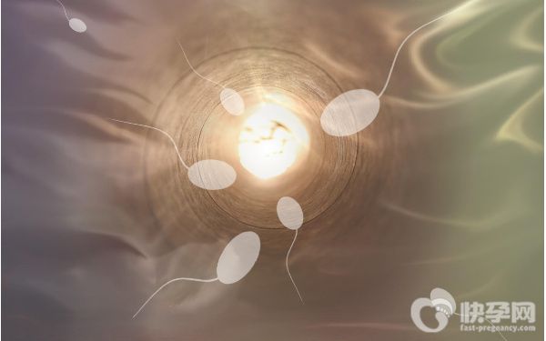 44岁做试管生双胞胎能成功吗？生双胎的风险有多大？