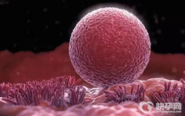 50岁高龄女性在国内做赠卵试管移植成功的人多吗？