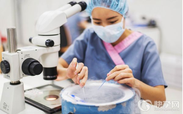 山东大学齐鲁医院做三代试管移植两个胚胎能生一对龙凤胎吗？