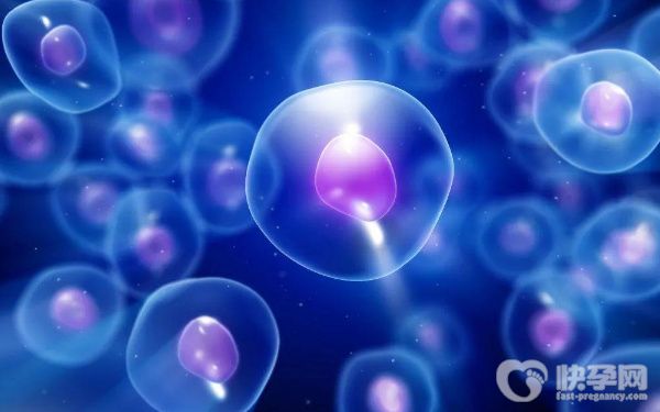 高龄做试管卵泡数量少怎么办？内附调理方法