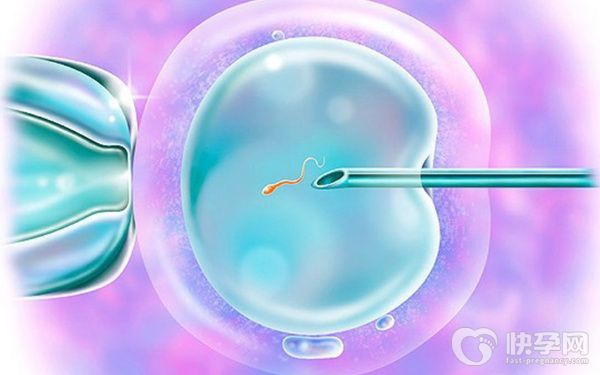 2023年安徽试管婴儿有补贴政策吗?当地人都说这几家成功率高