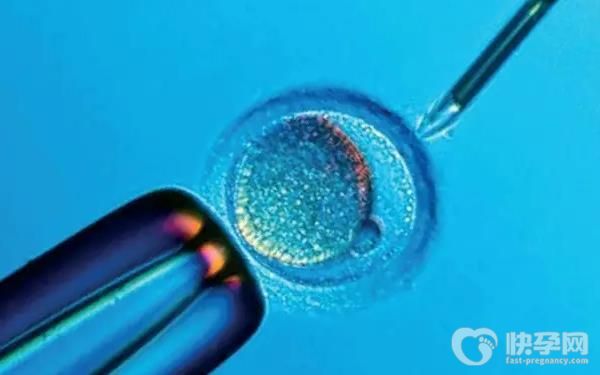 45岁失独家庭可以免费做试管婴儿吗？