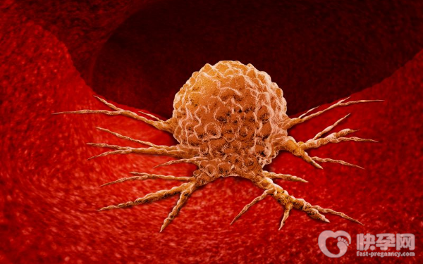 北京市赠卵试管费用明细一览表！附最新报销政策