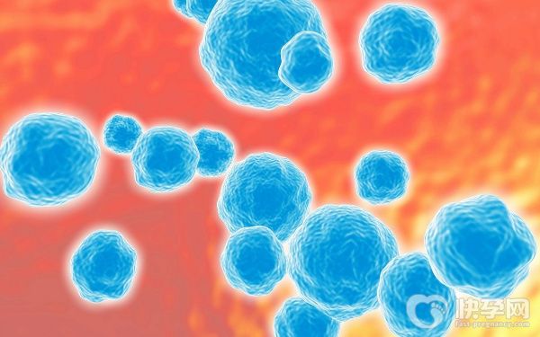 三代赠卵助孕生子需要多少钱？赠卵三代费用因人而异