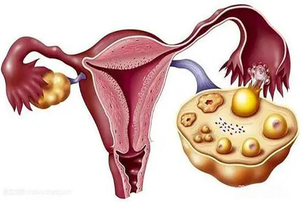 b超测排卵何时开始最靠谱？这个时间点备孕千万夫妻别错过了