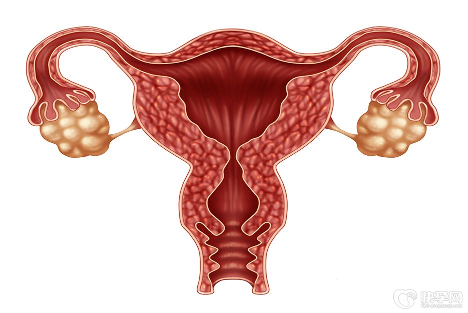 深度剖析fsh值过高对于做试管婴儿的影响！