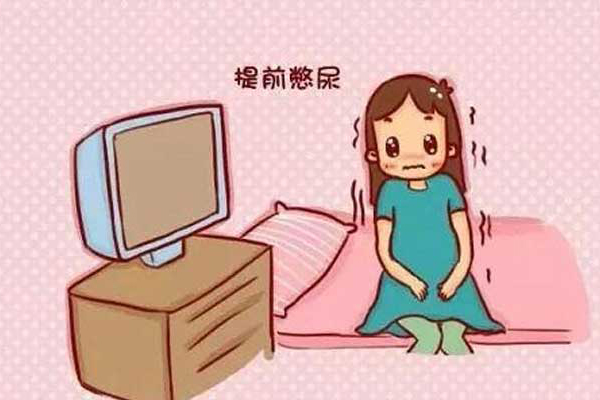 胚胎移植前为什么需要憋尿？