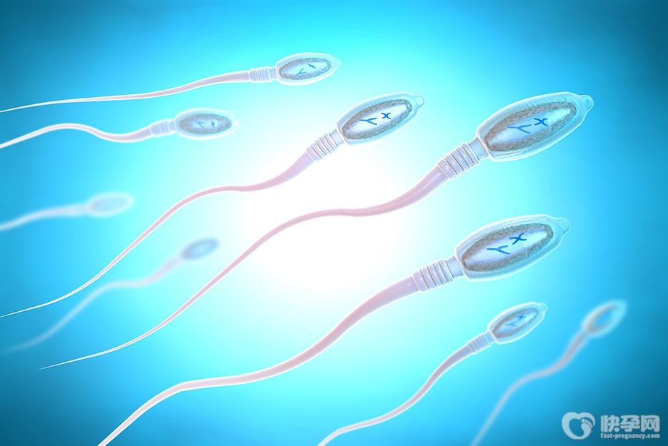 精子畸形率高一次试管就成功，做好这5点至关重要！