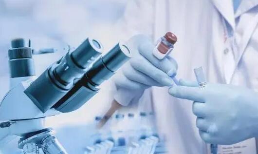 河北试管代生机构排名最新有哪些？附机构介绍？