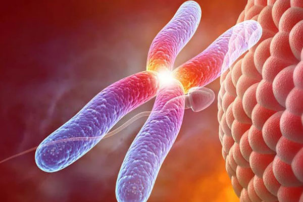 2022年国内哪家私立医院会做三代试管？