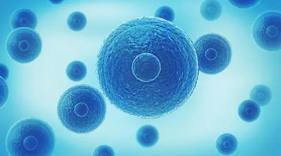 安徽供卵生殖中心排名公布！附医院名单？