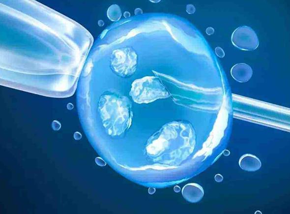 湖北省试管婴儿成功率最高的医院排名前三推荐！附助孕机构名单一览？