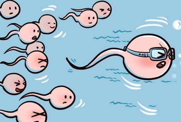 南昌供卵第三代试管代怀生子医院排名？附第三代试管费用成功率参考？