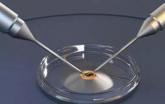 借卵做试管的流程？附详细借卵试管费用