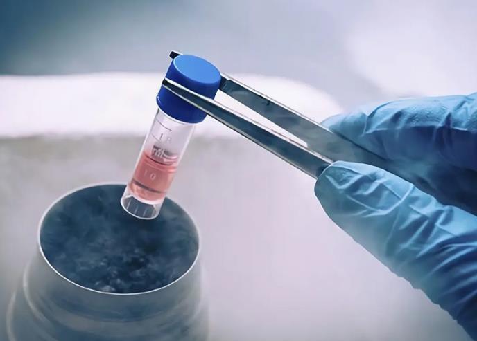 国内试管婴儿胚胎冷冻的价格是多少？