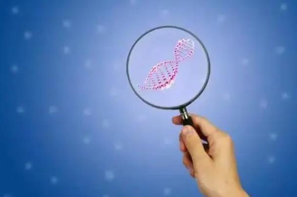 中南大学湘雅医院可以做供卵三代试管婴儿吗？成功率高吗？