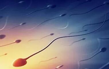 湖南试管代怀公司排名如何？附详细信息？