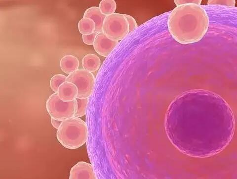 卵母细胞成熟障碍能自然怀孕吗？能不能做试管？