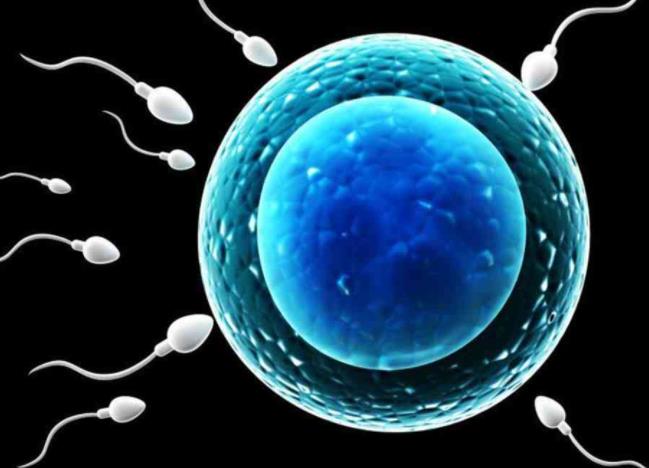 34岁单身女性买精子助孕大概需要多少钱？