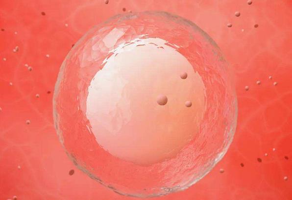 郑州三代试管婴儿包男孩医院排名，附助孕代怀生子机构费用参考？