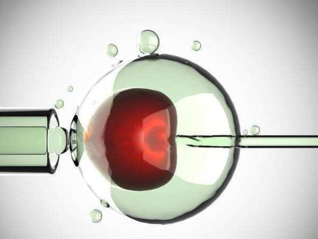 河北私人供卵试管医院排名，2022供卵生男孩费用明细？