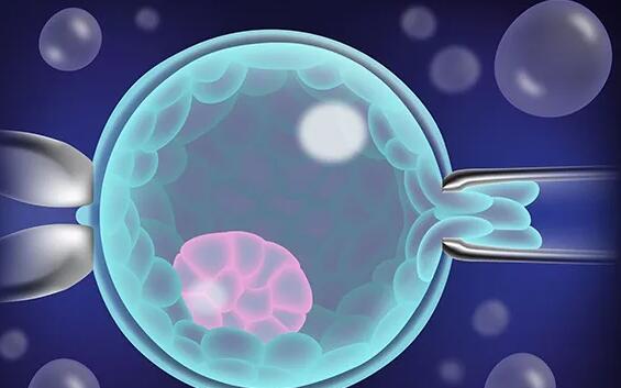 生殖中心供卵试管要花多少钱？附费用明细？