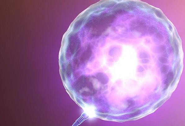 遵义医学院附属医院申请精子供精试管要多少钱？