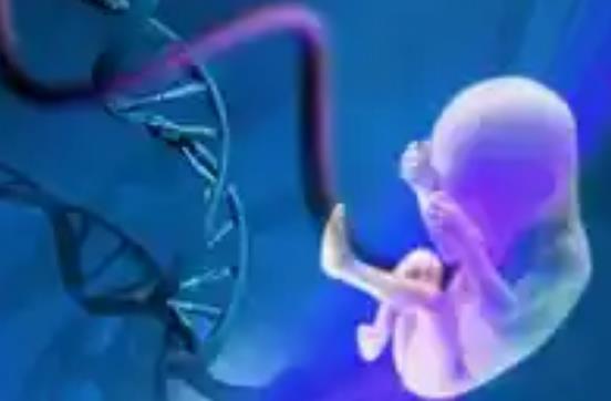 北京朝阳医院试管婴儿包生男孩费用多少？生男孩费用明细一览？