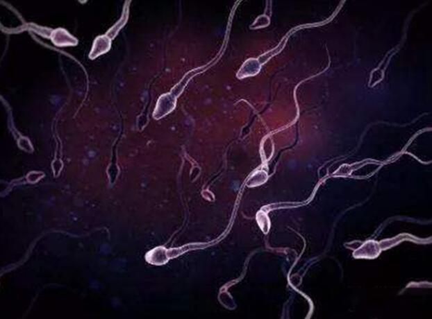 丈夫弱精症畸形率高怀孕后会导致生化妊娠吗？