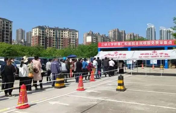 三峡大学附属仁和医院做试管费用？附费用流程详情？