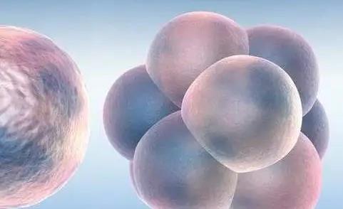 私人助孕机构做供卵试管婴儿靠谱吗？