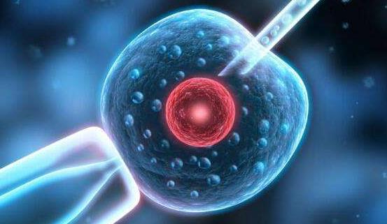 佛山市第一人民医院生殖科可以做试管婴儿吗？成功率怎么样？