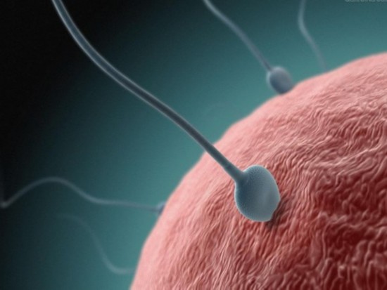 江苏省中医院能做供卵试管婴儿吗？成功率能高吗？