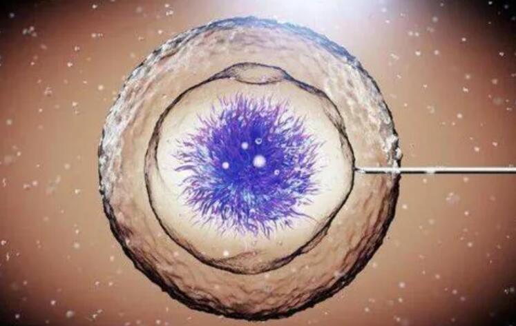 做供卵试管婴儿包生男孩一般有几次移植机会？附费用详情？