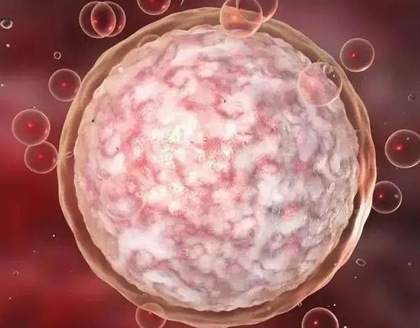 正常夫妇可以做三代试管直接生男孩吗？2022年试管出生男孩条件一览！