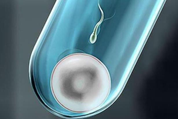 海军总医院做供卵第三代试管生男孩价格多少？费用12万够吗？