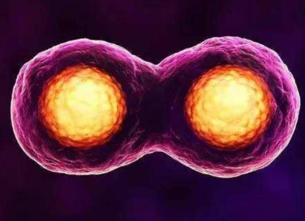 乌鲁木齐供卵第三代试管婴儿医院排名？哪家试管医院好？