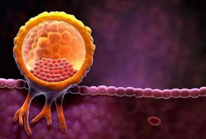 长沙代怀供卵机构有哪些地方？附详细介绍？