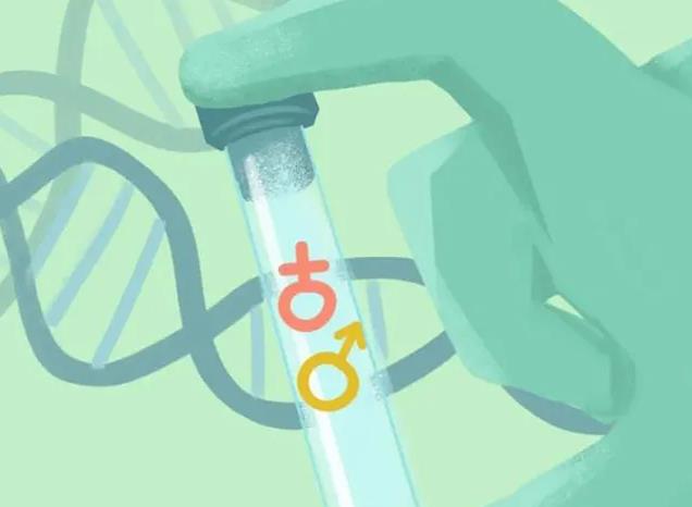 公务员做试管婴儿的所有费用可以单位医保报销吗？