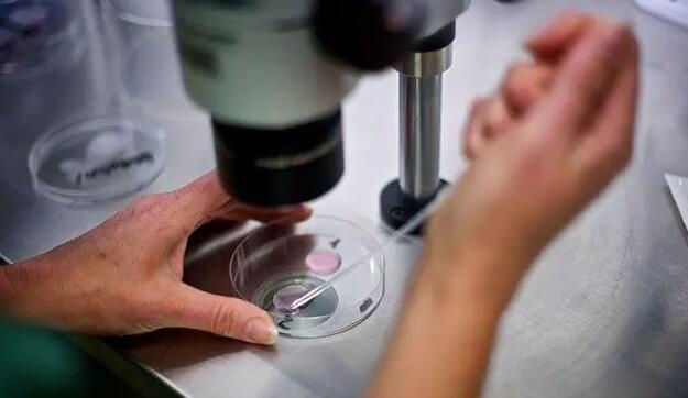 2022年山东省中医院试管婴儿成功率怎么样？附医院详情？