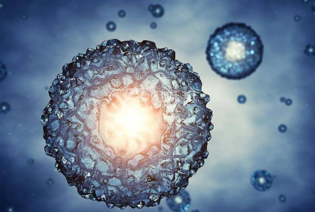 湖南长沙正规试管代怀生子医院排名，附成功率费用明细？