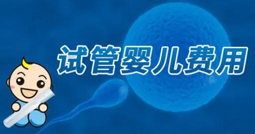 武汉康健妇婴医院治疗试管费用？附费用明细？