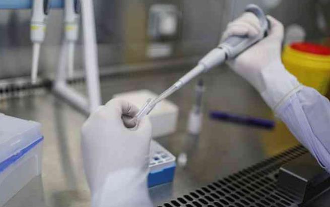 东莞供卵试管婴儿代怀生子医院排名？附试管助孕机构成功率费用明细？