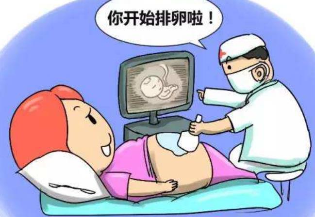 试管促排费用要多少钱？促排卵后会导致女性卵巢出现早衰现象吗？