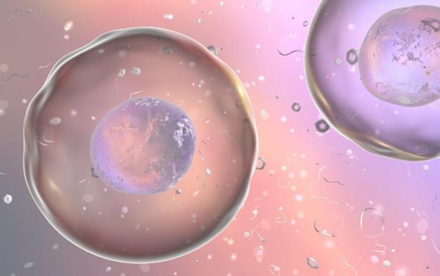 海南医学院第一附属医院试管婴儿包生男孩费用多少？生男孩费用十万够吗？