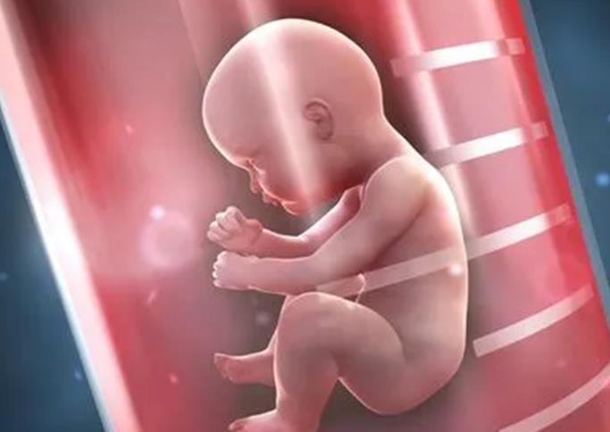 女性amh值低但窦卵泡多做供卵试管婴儿可以成功受孕吗？